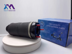 Mercedes-Benz W164/ML350 GL450 Primavera de ar dianteira