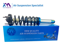 Mestre em Tecnologia Ford F150 Suspensão Anterior de Ar Absorvedor de Choque