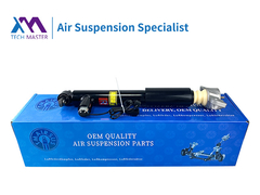 TMAIRSUS Lincoln MKZ absorvedor de choque traseiro ASSY 1015620-00-A