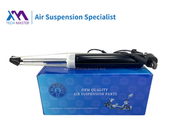 TMAIRSUS Lincoln MKT absorvedor de choque traseiro esquerdo com ADS DE9Z18125J, DE9Z18125B, DE9Z18125G