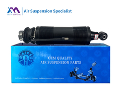 Mestre TECNOLOGICO TMAIRSUS Absorvedor de choque hidráulico para Mercedes SL-Classe R230 2303200213