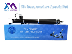 TMAIRSUS absorvedor de choque para Lincoln MKT ASH24635