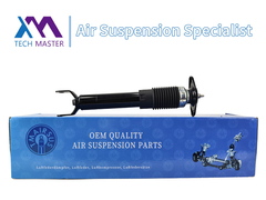 Absorvedor de choque traseiro Absorvedor de suportes para Cadillac C5 22248830