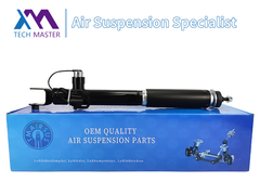 Mestre de Tecnologia TMAIRSUS Absorvedor de choque traseiro direito para Lincoln MKT DE9Z18125A