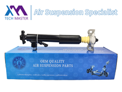 Mestre de Tecnologia TMAIRSUS Absorvedor de choque traseiro direito para Lincoln MKT DE9Z18125A