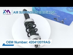 TMAIRSUS Absorvedor de choque frontal para Audi R8 com ADS 420412019AG