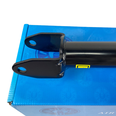 Tesla 3-Y 2WD Suspensão dianteira de ar absorvedora de choques