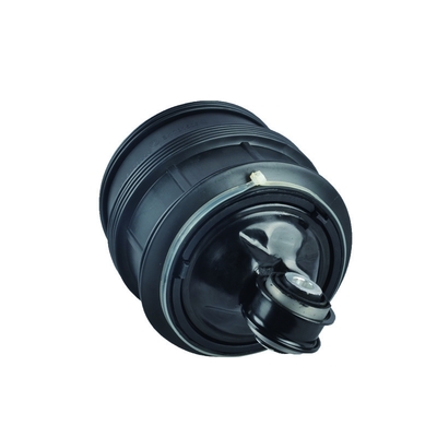 OEM adequado 2113200825 do saco da mola de ar da parte traseira de Mercedes-Benz W211