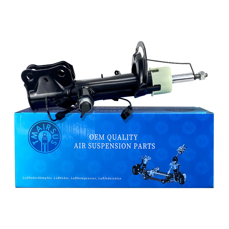 2014-2019 LINCOLN MKC Suspensão aerodinâmica de choque de carro Absorvedor de choque de ar EJ7Z18124A EJ7Z18125G
