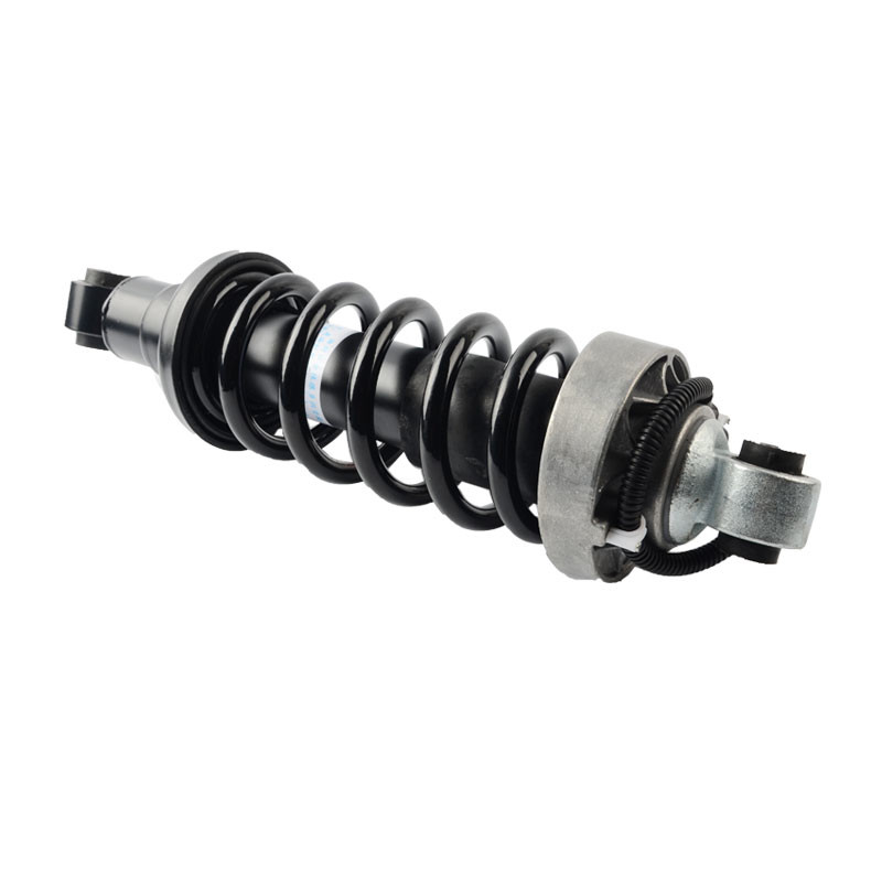 Suporte 420512019AL 420412020AG Airmatic do amortecedor da suspensão do ar do ADS da parte traseira de Audi R8 da esquerda à direita