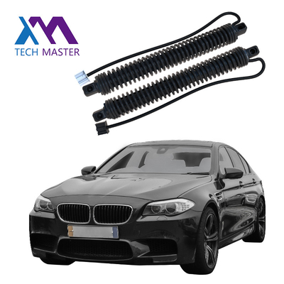 51247207009 51247207010 peças de automóvel do suporte elétrico da bagageira do Liftgate do poder para RH 2011-2016 do LH de BMW 5series F10 F18