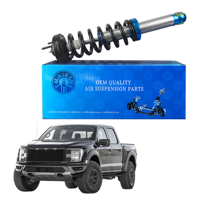 Suportes de absorção de choque dianteiros para Ford F150 Desempenho e durabilidade incomparáveis