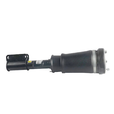 37116761443 37116761444 amortecedor da suspensão do fole do ar de Front Air Suspension Strut For BMW E53