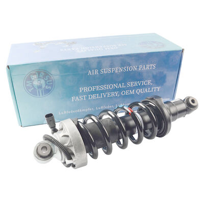 Carro alemão Audi R8 Front Air Spring Shock Absorber 420412019AG 420412020AG