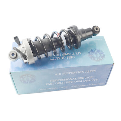 Choque 420512019AL 420512020AL da suspensão do ar da parte traseira de Audi R8